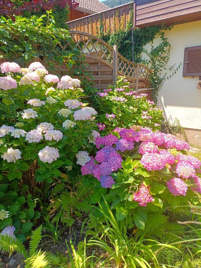 Haus Flora - Ferienwohnung Bodensdorf Eksteriør bilde